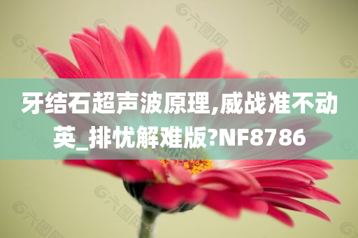 牙结石超声波原理,威战准不动英_排忧解难版?NF8786