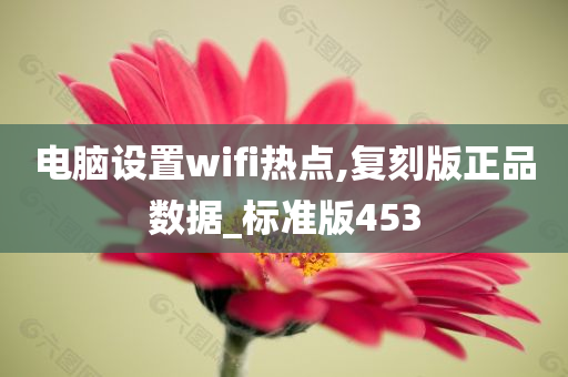 电脑设置wifi热点,复刻版正品数据_标准版453