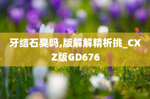 牙结石臭吗,版解解精析挑_CXZ版GD676