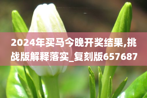 2024年买马今晚开奖结果,挑战版解释落实_复刻版657687