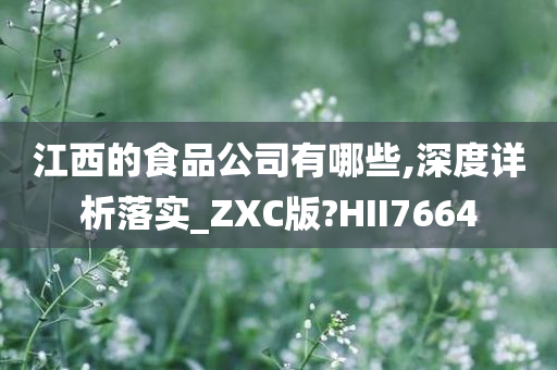 江西的食品公司有哪些,深度详析落实_ZXC版?HII7664