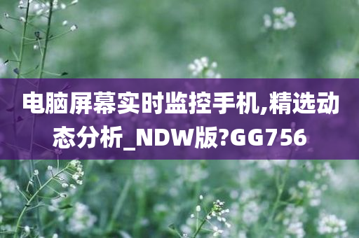 电脑屏幕实时监控手机,精选动态分析_NDW版?GG756