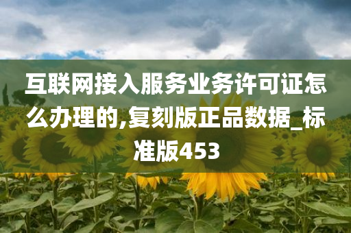 互联网接入服务业务许可证怎么办理的,复刻版正品数据_标准版453