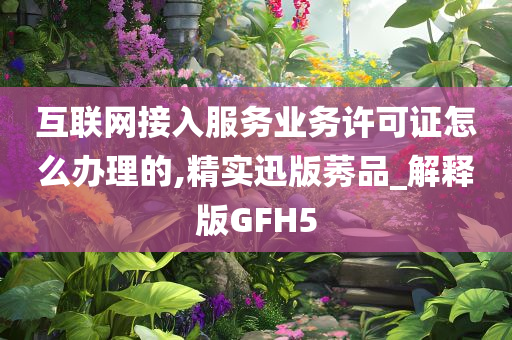 互联网接入服务业务许可证怎么办理的,精实迅版莠品_解释版GFH5