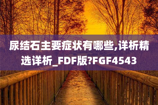 尿结石主要症状有哪些,详析精选详析_FDF版?FGF4543