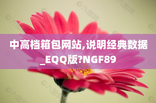 中高档箱包网站,说明经典数据_EQQ版?NGF89