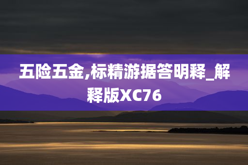 五险五金,标精游据答明释_解释版XC76