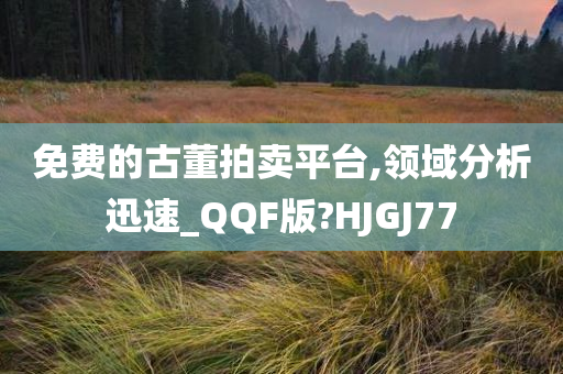 免费的古董拍卖平台,领域分析迅速_QQF版?HJGJ77