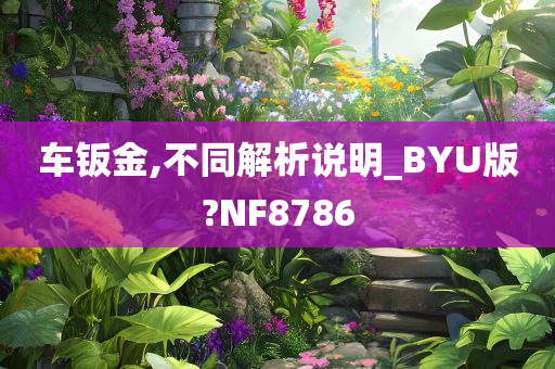 车钣金,不同解析说明_BYU版?NF8786