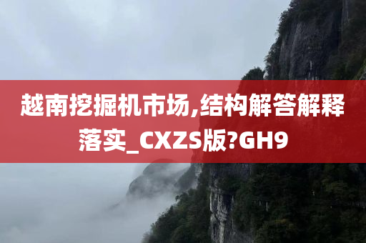 越南挖掘机市场,结构解答解释落实_CXZS版?GH9