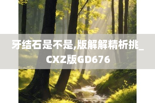 牙结石是不是,版解解精析挑_CXZ版GD676