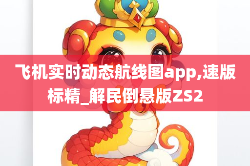 飞机实时动态航线图app,速版标精_解民倒悬版ZS2