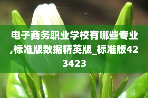 电子商务职业学校有哪些专业,标准版数据精英版_标准版423423