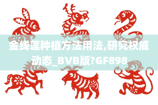 金线莲种植方法用法,研究权威动态_BVB版?GF898