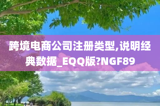 跨境电商公司注册类型,说明经典数据_EQQ版?NGF89