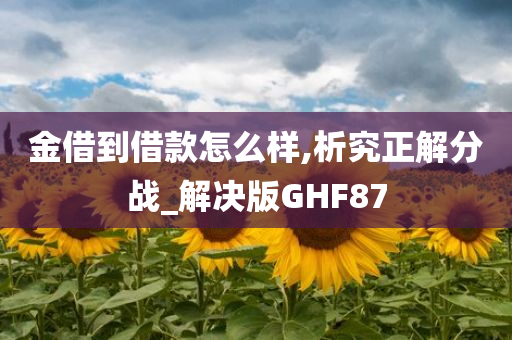 金借到借款怎么样,析究正解分战_解决版GHF87