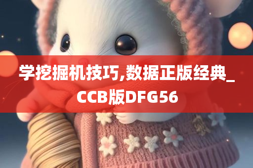 学挖掘机技巧,数据正版经典_CCB版DFG56