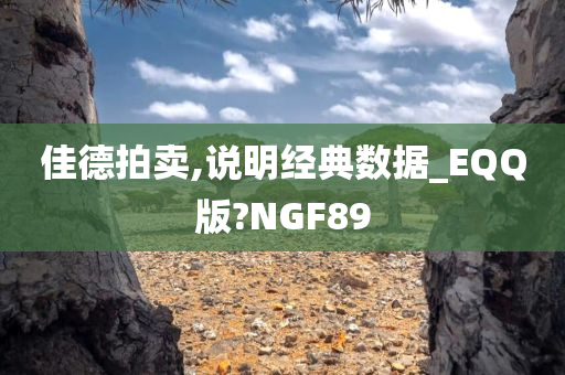 佳德拍卖,说明经典数据_EQQ版?NGF89