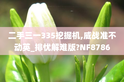 二手三一335挖掘机,威战准不动英_排忧解难版?NF8786