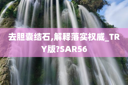 去胆囊结石,解释落实权威_TRY版?SAR56