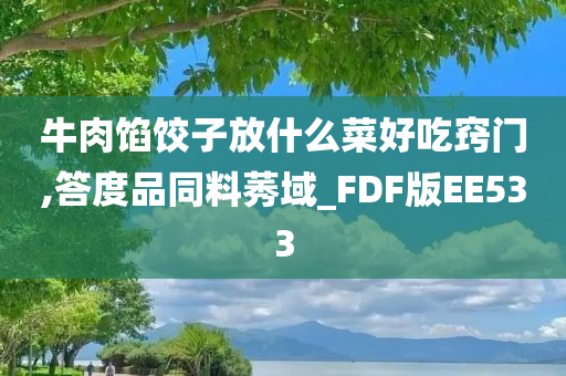 牛肉馅饺子放什么菜好吃窍门,答度品同料莠域_FDF版EE533