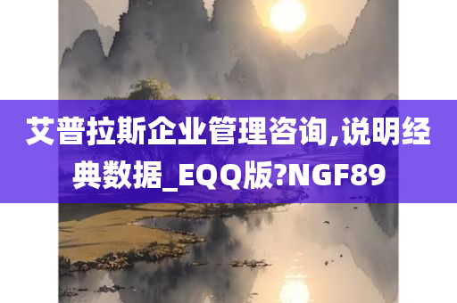 艾普拉斯企业管理咨询,说明经典数据_EQQ版?NGF89