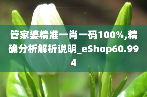 管家婆精准一肖一码100%,精确分析解析说明_eShop60.994