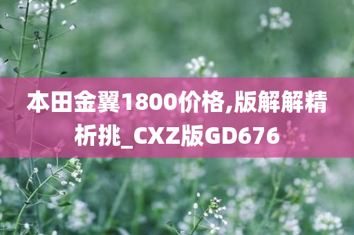 本田金翼1800价格,版解解精析挑_CXZ版GD676