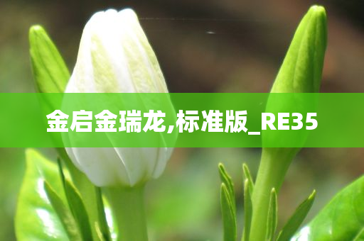 金启金瑞龙,标准版_RE35