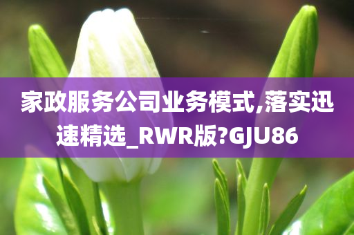 家政服务公司业务模式,落实迅速精选_RWR版?GJU86