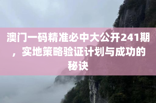 澳门一码精准必中大公开241期，实地策略验证计划与成功的秘诀