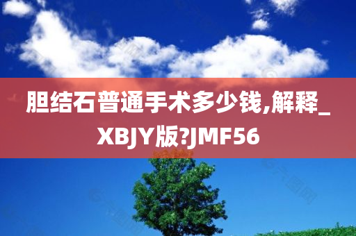 胆结石普通手术多少钱,解释_XBJY版?JMF56