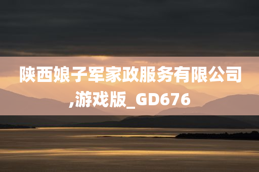 陕西娘子军家政服务有限公司,游戏版_GD676