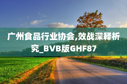 广州食品行业协会,效战深释析究_BVB版GHF87