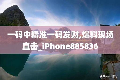 一码中精准一码发财,爆料现场直击_iPhone885836