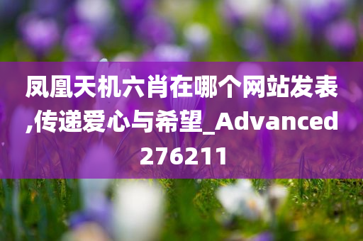 凤凰天机六肖在哪个网站发表,传递爱心与希望_Advanced276211