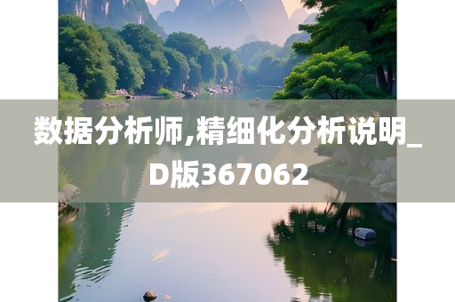 数据分析师,精细化分析说明_D版367062