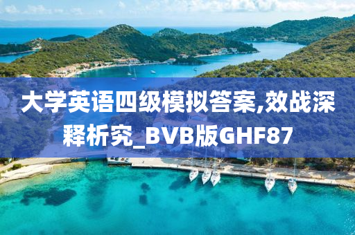 大学英语四级模拟答案,效战深释析究_BVB版GHF87