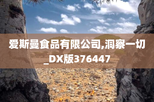 爱斯曼食品有限公司,洞察一切_DX版376447