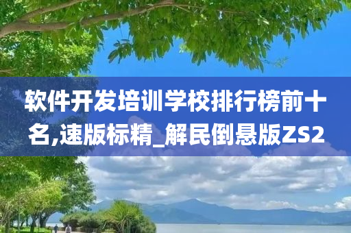 软件开发培训学校排行榜前十名,速版标精_解民倒悬版ZS2