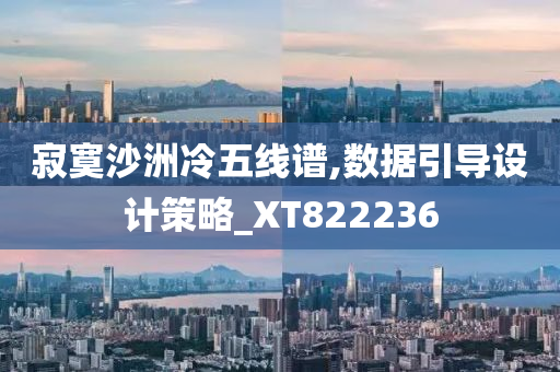 寂寞沙洲冷五线谱,数据引导设计策略_XT822236