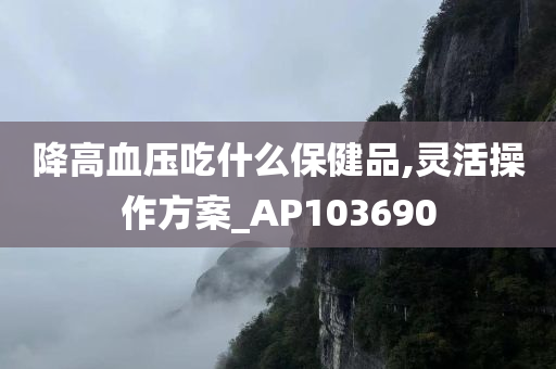 降高血压吃什么保健品,灵活操作方案_AP103690