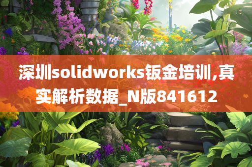 深圳solidworks钣金培训,真实解析数据_N版841612