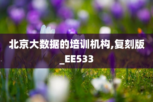 北京大数据的培训机构,复刻版_EE533