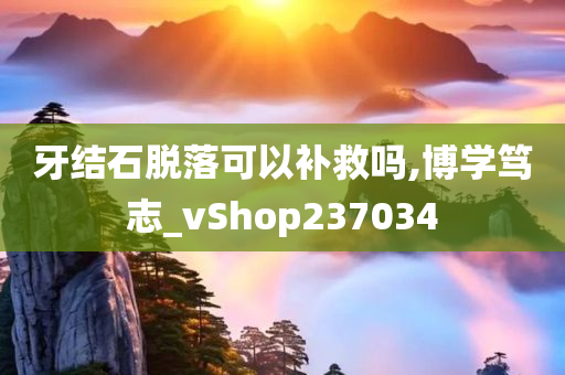 牙结石脱落可以补救吗,博学笃志_vShop237034