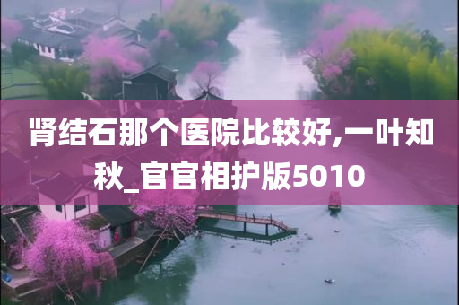 肾结石那个医院比较好,一叶知秋_官官相护版5010