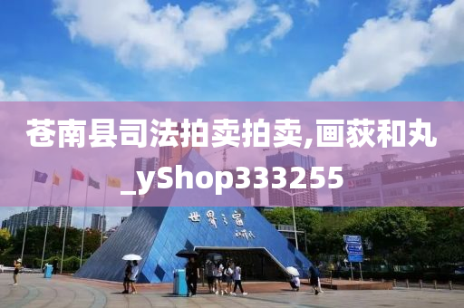 苍南县司法拍卖拍卖,画荻和丸_yShop333255