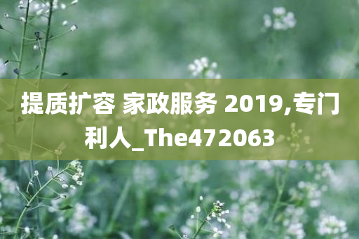 提质扩容 家政服务 2019,专门利人_The472063