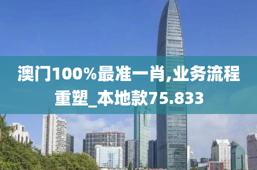 澳门100%最准一肖,业务流程重塑_本地款75.833