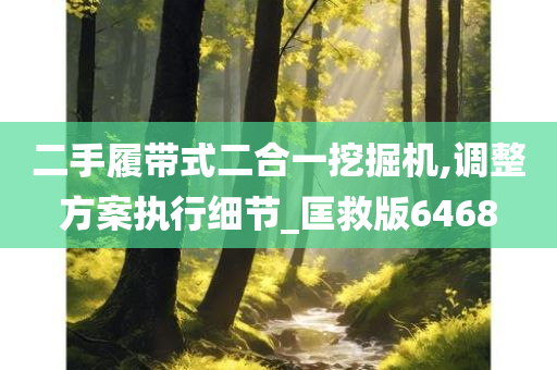 二手履带式二合一挖掘机,调整方案执行细节_匡救版6468